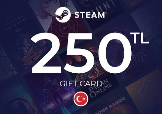 STEAM TRY 250 | AUTO